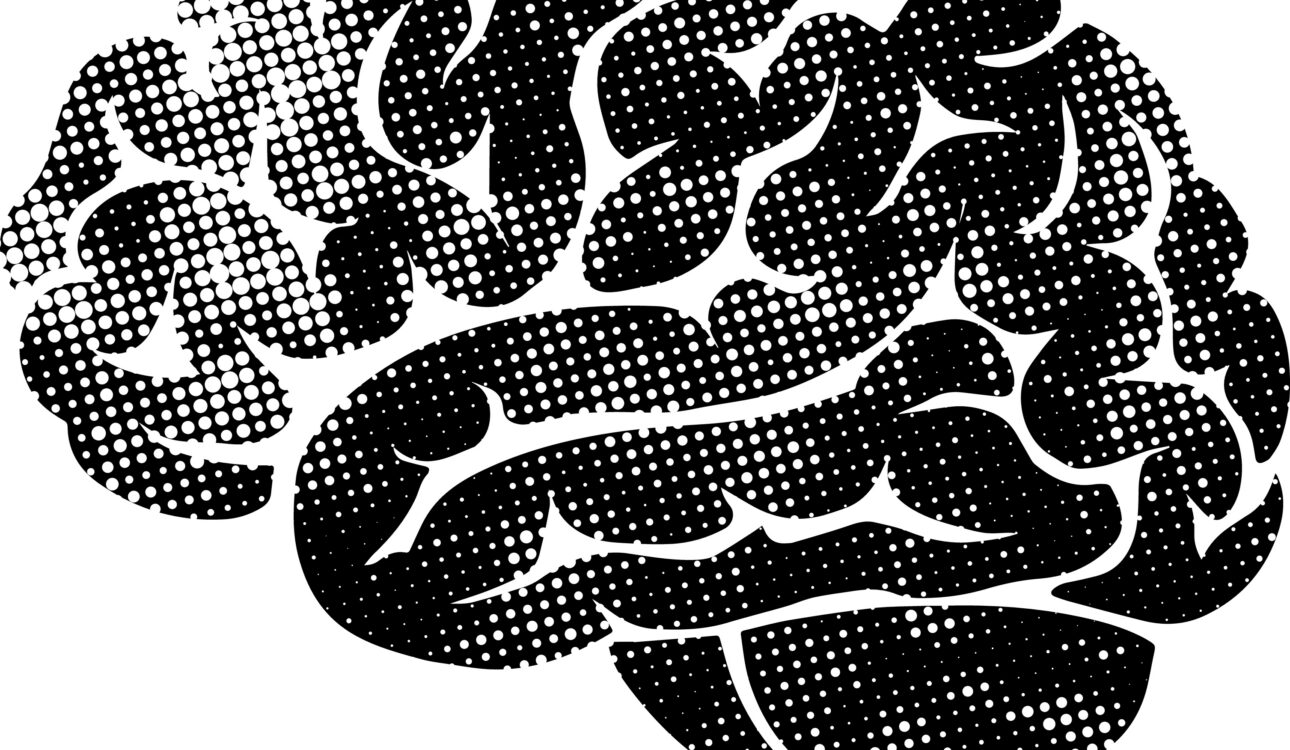 How Trauma Affects the Brain