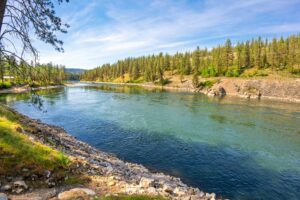 landscape of spokane kratom ban